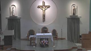 Holy Mass 20th Sunday Ordinary Time [upl. by Ormand]