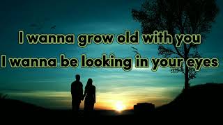 I wanna grow old with you westlifelyrics video [upl. by Woodhouse697]