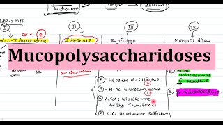 28 Mucopolysaccharidoses  Biochemistry Clinical Features Diagnosis and Treatment [upl. by Butte]