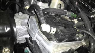 How to replace fuel filter on a Peugeot 5008 20 HDI 2011 [upl. by Ahsyen933]