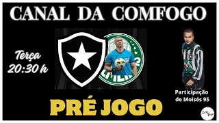 LIVE PRÉ JOGO DA COMFOGO  BOTAFOGO X palmeiras  17ª RODADA [upl. by Hyacintha]