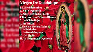 Cantos a la Virgen de Guadalupe [upl. by Modeerf777]