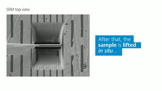 ZEISS Crossbeam  How to prepare a TEM sample [upl. by Kela]