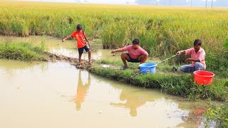 Fishing Video  Every boy in small and big villages always excels in fishing  Best hook fishing [upl. by Lonee15]