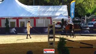 Ludger Beerbaum Lausanne 2012 Training Paddock 3ª Day Global Champions Tour 2012 [upl. by Nylassej]