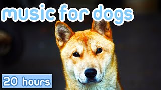 NO ADS Music for Dogs Gentle Songs to Promote Sleep Cure Depression [upl. by Htenaj451]