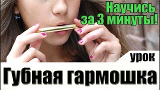 Как научиться играть на губной гармошке УРОК С нуля [upl. by Esenej]