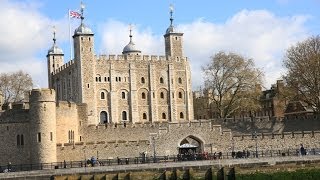 Tower of London illuminated for Armistice tribute  BBC News [upl. by Yettie62]