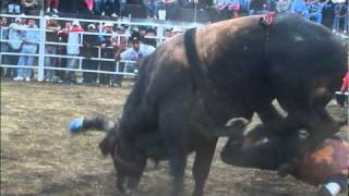 Lobito De Aristeo Vs El Prestigio De Rancho Los Destructores Jaripeo En Quirogawmv [upl. by Bowra]