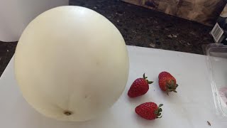 Irene Bee View Vlogger is live Lets Peel Rock Melon amp strawberrypeel rockmelon yummy [upl. by Ainerol]