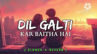 Dil Galti Kar Baitha Hai lofi song slowed amp reved song [upl. by Itteb]