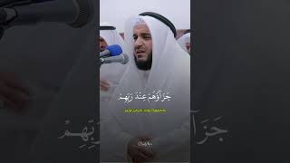 Beautiful Quran Recitation [upl. by Bloch]