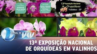 13ª Exposição Nacional de Orquídeas acontece em Valinhos [upl. by Notkcorb]