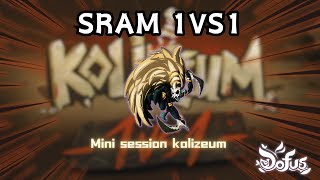 DOFUS 272  SRAM PVP 1V1 [upl. by Moreta]