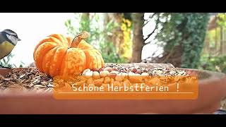 Schöne Herbstferien [upl. by Vivie]