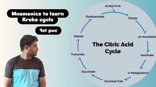 Mnemonics to learn KREB CYCLE in Kannada  TCA CYCLE  CITRIC ACID CYCLE Trick credits  VIPIN SIR [upl. by Yelsnit]