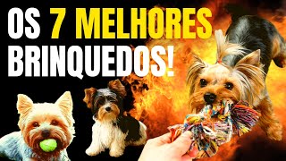 7 MELHORES BRINQUEDOS PARA CACHORRO YORKSHIRE [upl. by Maccarthy813]