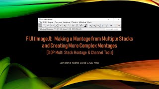 FIJI ImageJ Making a Montage from Multiple Stacks amp Creating More Complex Montages BIOP Tools [upl. by Simona]