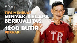 PELUANG BISNIS MINYAK KELAPA TERNYATA BEGINI CARA MUDAH HASILKAN MINYAK KELAPA BERKUALITAS [upl. by Eiromem235]