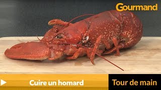 Comment cuire un homard [upl. by Kelcey]