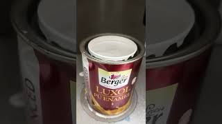 Berger Paints Making Of Blossom paint painting paintingtutorial colors [upl. by Akina764]