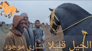 سوق الثلاثاء الخميسات الخيل قليلا الشاري مجود بتاريخ اليوم 10شتنبر2024 مع دريس موزون [upl. by Nisa]