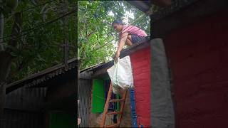 Monkey girl 🤣😂🤣😂🤣😂funny video love new minivlog newvlog like comment subscribe share [upl. by Adyeren]