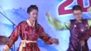 Best ladakhi dance perform by delhi student2016 [upl. by Hirza]