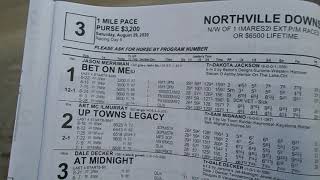 Northville Downs 8292020 Race 3 Warm Up [upl. by Arlana545]