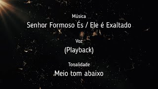 Senhor Formoso És  Ele é Exaltado  Playback com legenda  Meio tom abaixo [upl. by Ecinej194]