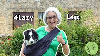 How to carry your puppy Review of 4 Lazy Legs Pet Carrier [upl. by Gracia]