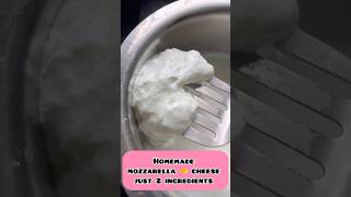 Mozzarella cheese 🧀 making just 2 ingredients cheese manamwithsathya ytshort [upl. by Eresed661]