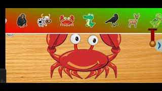 Puzzle 4 Kids Animals Vietnamese The Green Orbs Songs Music [upl. by De Witt]