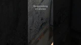 Honeycombing in concrete buildingconstruction concrete structure civil construction [upl. by Wesa]