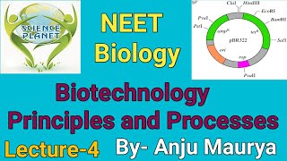 Biotechnology Principles and Processes Lecture4 By Anju Maurya [upl. by Nomla406]