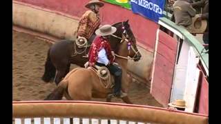 Rodeo Campeones de Chile [upl. by Jeffry]