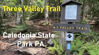 Three Valley Loop Trail Via the Appalachian Trail Caledonia State Park PA [upl. by Durgy67]