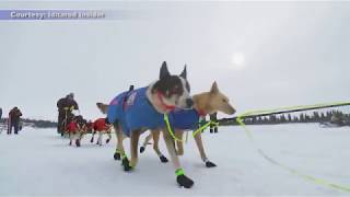 Iditarod 2018 Recap [upl. by Kristian972]