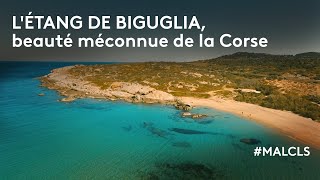 Létang de Biguglia beauté méconnue de la Corse [upl. by Northrup]