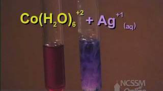 Cobalt Complex Ion Equilibrium  LeChateliers Principle Lab Part 3 [upl. by Skcirdnek881]