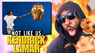 Kendrick Lamar  Not Like Us  REACTION [upl. by Franciscka]