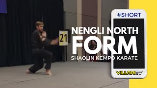 Shaolin Kempo Form  Nengli North short [upl. by Raman146]