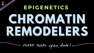 Chromatin Remodeling complexes Part 2  Epigenetics  GATECSIRNET [upl. by Eberly923]