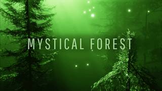 Enchanting Forest Music 🎵 for Relaxation and Meditation 🌲✨ Path to The Elven Lands [upl. by Warrick]