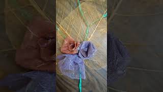 Pipal leaf craft shorts  leaf craft short video  colourful leaf skeleton craft short  diy short [upl. by Otho875]