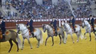 How Andalusian Horses Dance 40th anniversary 2013 [upl. by Morville]