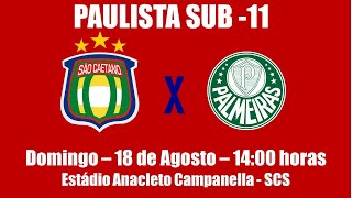 Campeonato Paulista Sub11  São Caetano x Palmeiras  18082024  Narração Luciano Luiz [upl. by Eceerehs]