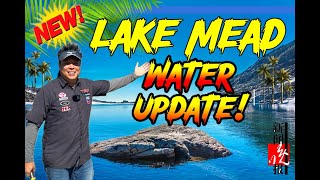 New Lake Mead Water Report and Its Amazing Have a Look [upl. by Hanid]