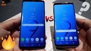 Samsung Galaxy S9 Vs Galaxy S9  The Main Differences [upl. by Bortz702]