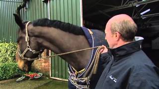 Showjumping  Michael Whitaker At Home  February 2010 [upl. by Coh]